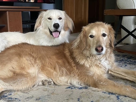 Lucca and Finn