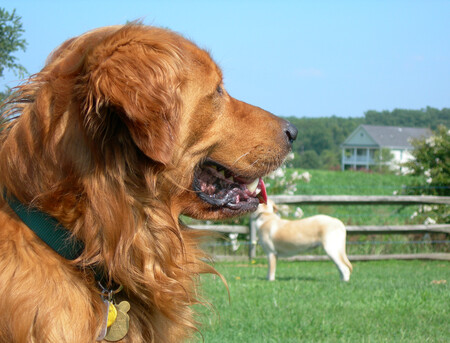 Juka and Cody