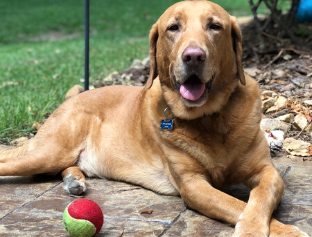 Tucker