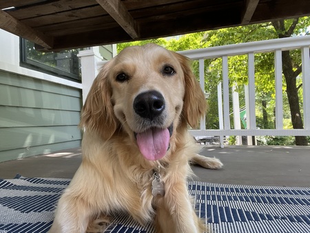 Trudy