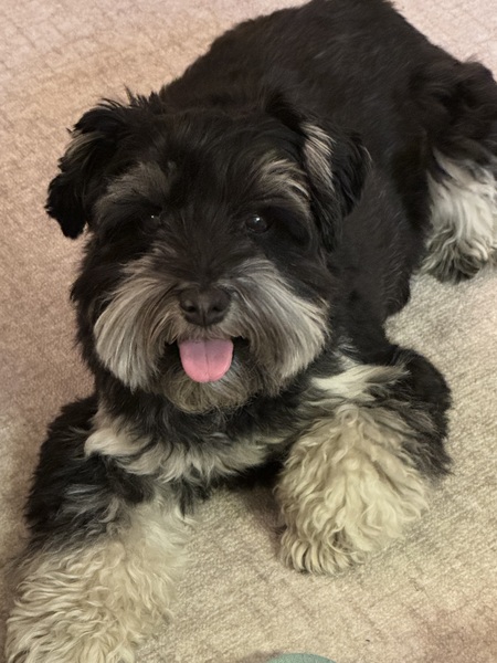Bella