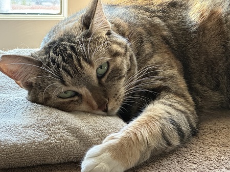 Mimi