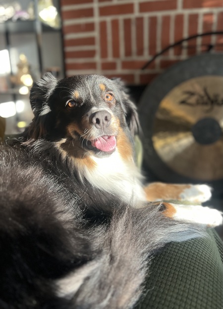 Hazel