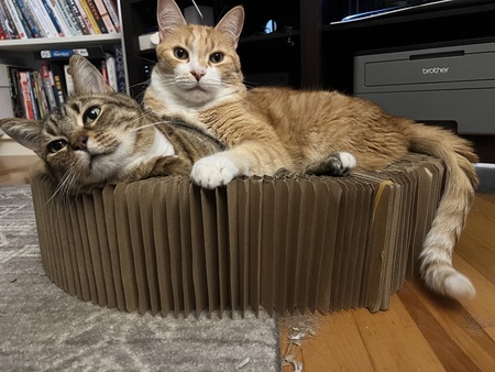 Orson and Hans