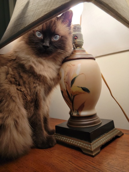 Ming Luna