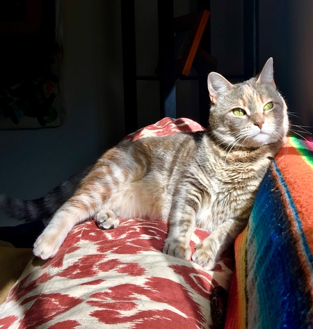 Millie