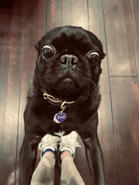 Edgar