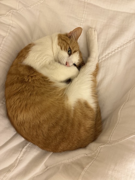 Diego