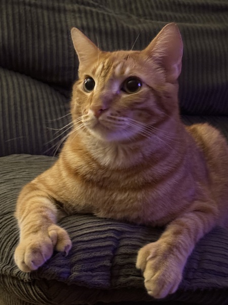 Redd