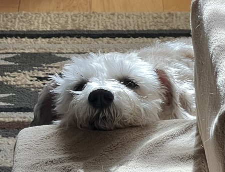 Jack
