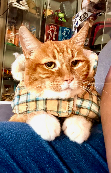 Loki