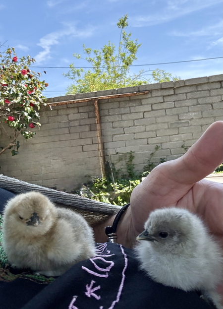 Doc and Ruffle
