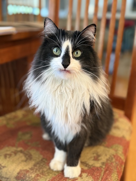 Bubba