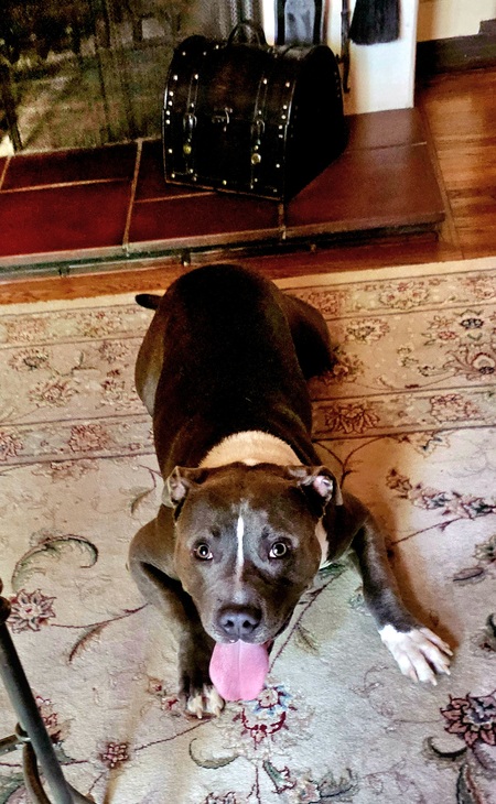 Remi