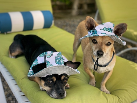 Ella and Gus Gus