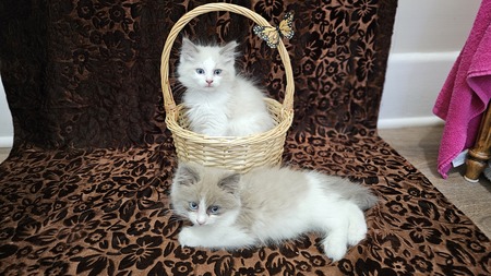 Oliver and Charlie