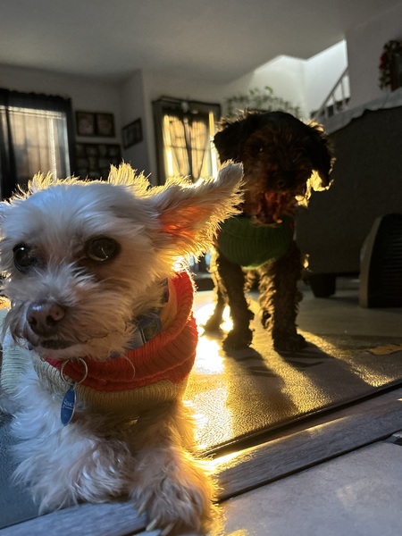Max & Bert