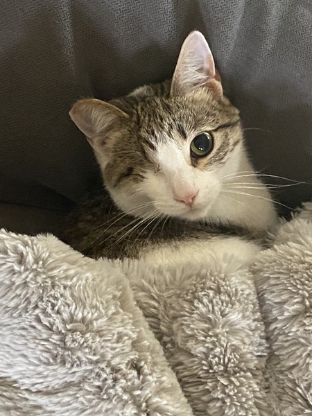 Little Guy with one eye