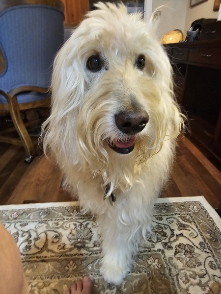 Charlie