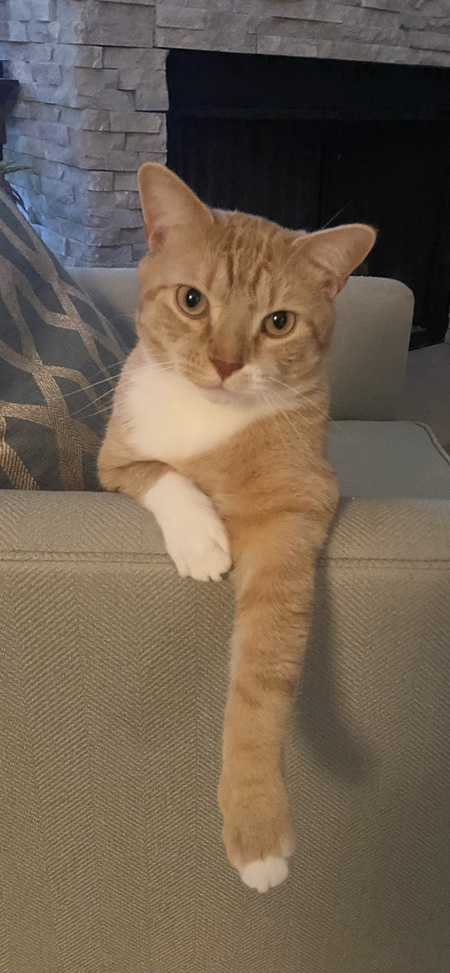 Obie