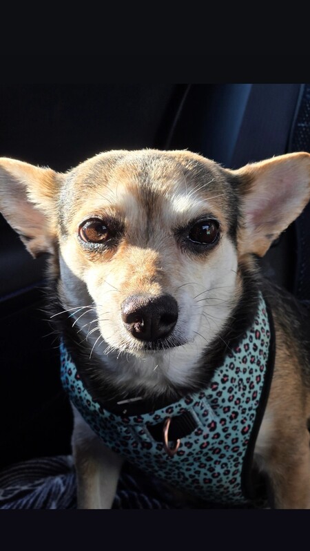 Coco