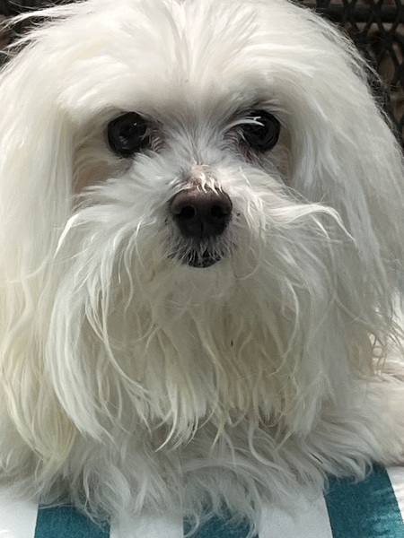 Bailey