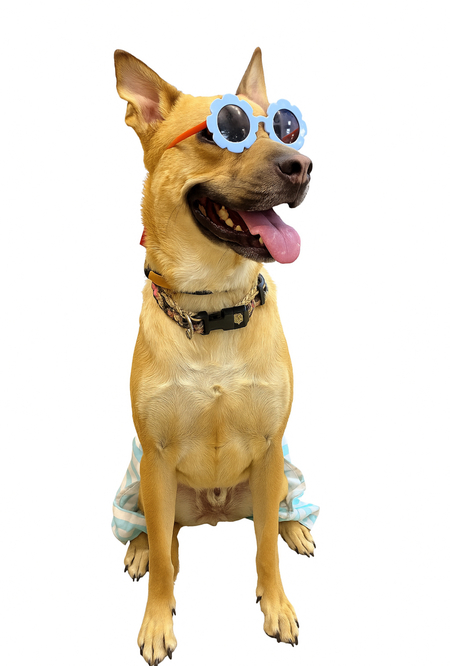 Archie