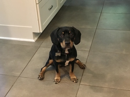 Sammie
