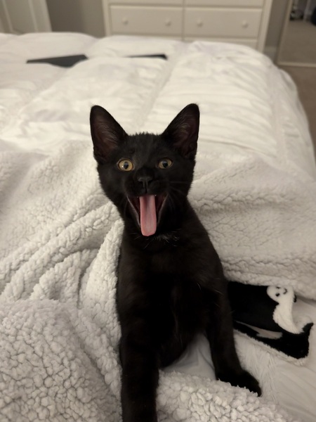 Nitro