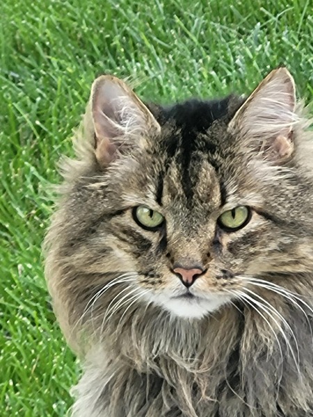 Gus