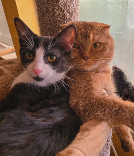 Zellie and Ambrose