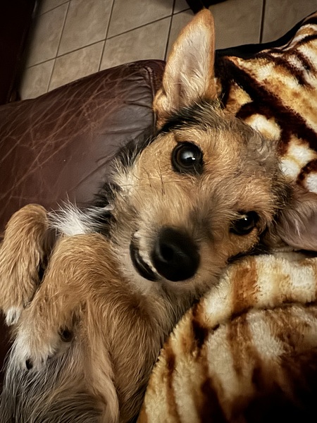 Paco
