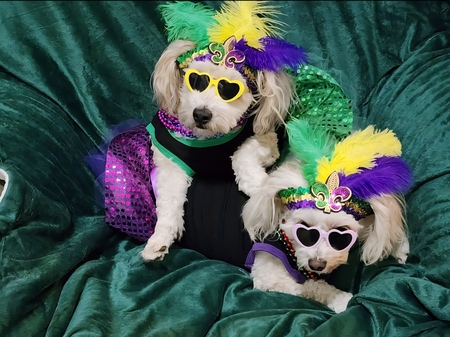 Brinly and Brityn