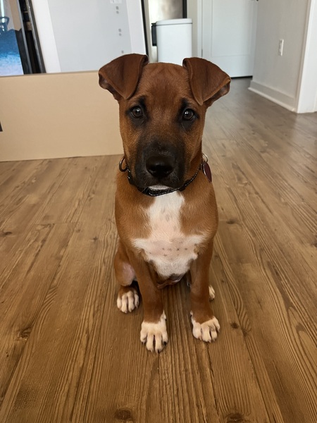 Nora 