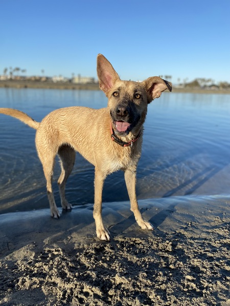 Charlie