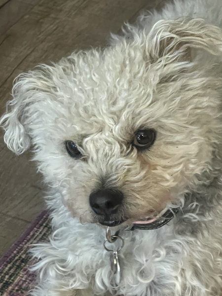 Miss Maizy Mae