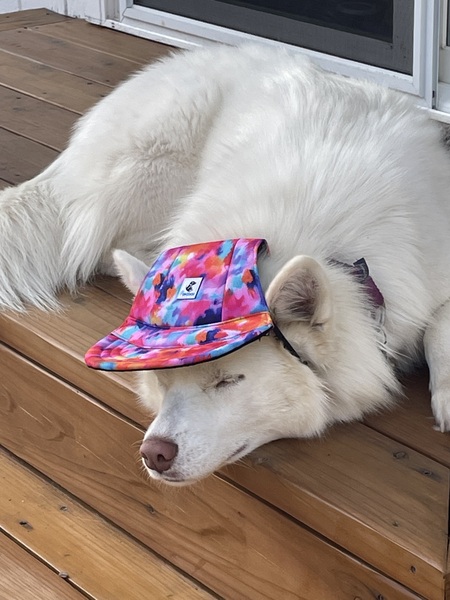 Ella