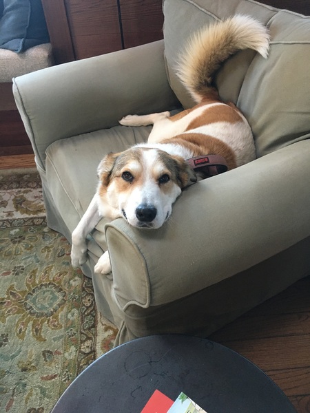 Maggie Mae
