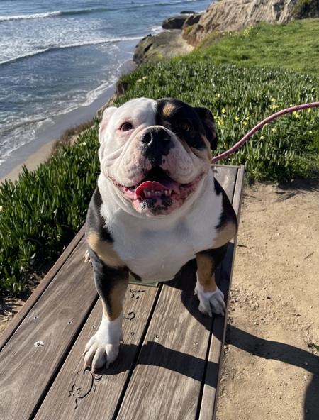 Penny