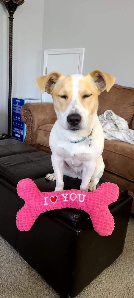 Ellie
