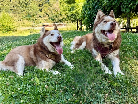 Boris and Asa