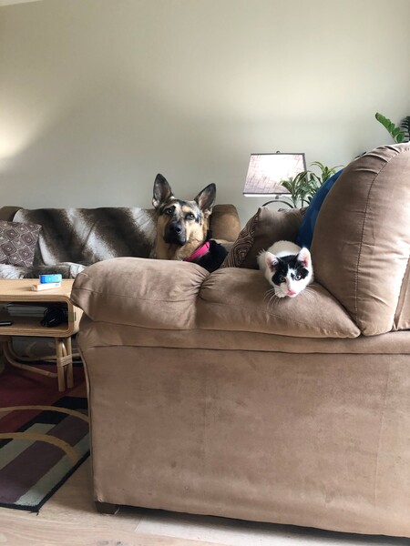 Daisy and Hercules