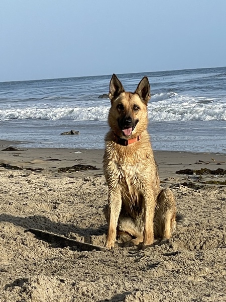 Leni