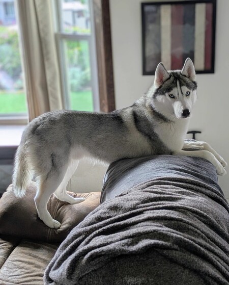Zephyr