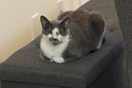 Winnie