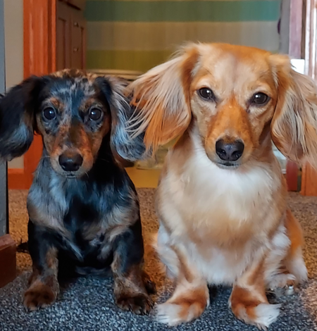 Gracie and Charlie