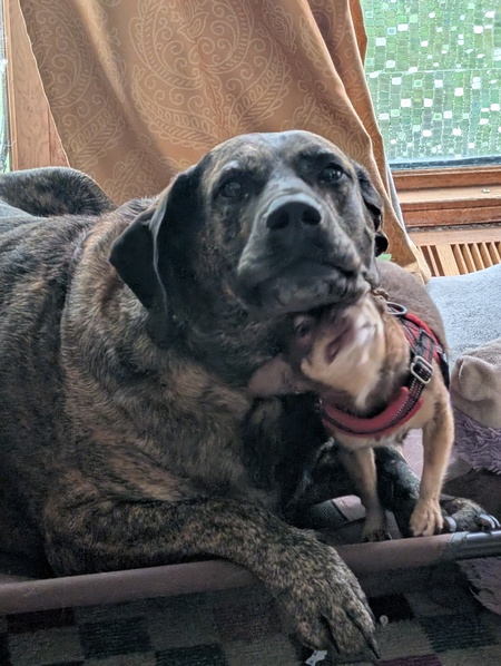 Kami and JoJo