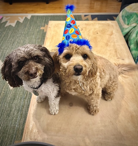Megalodon & Riley