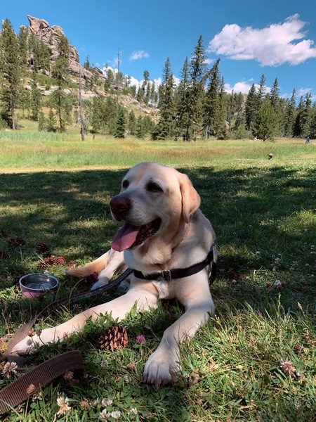 Cooper