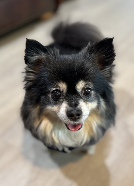 Luna